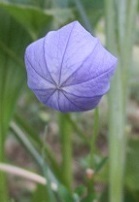 IMG_0341.jpg