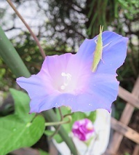 IMG_1664.jpg