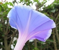 IMG_1708.jpg