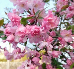DSCN4753.jpg